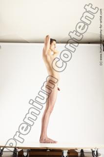 standing reference of moric 60c